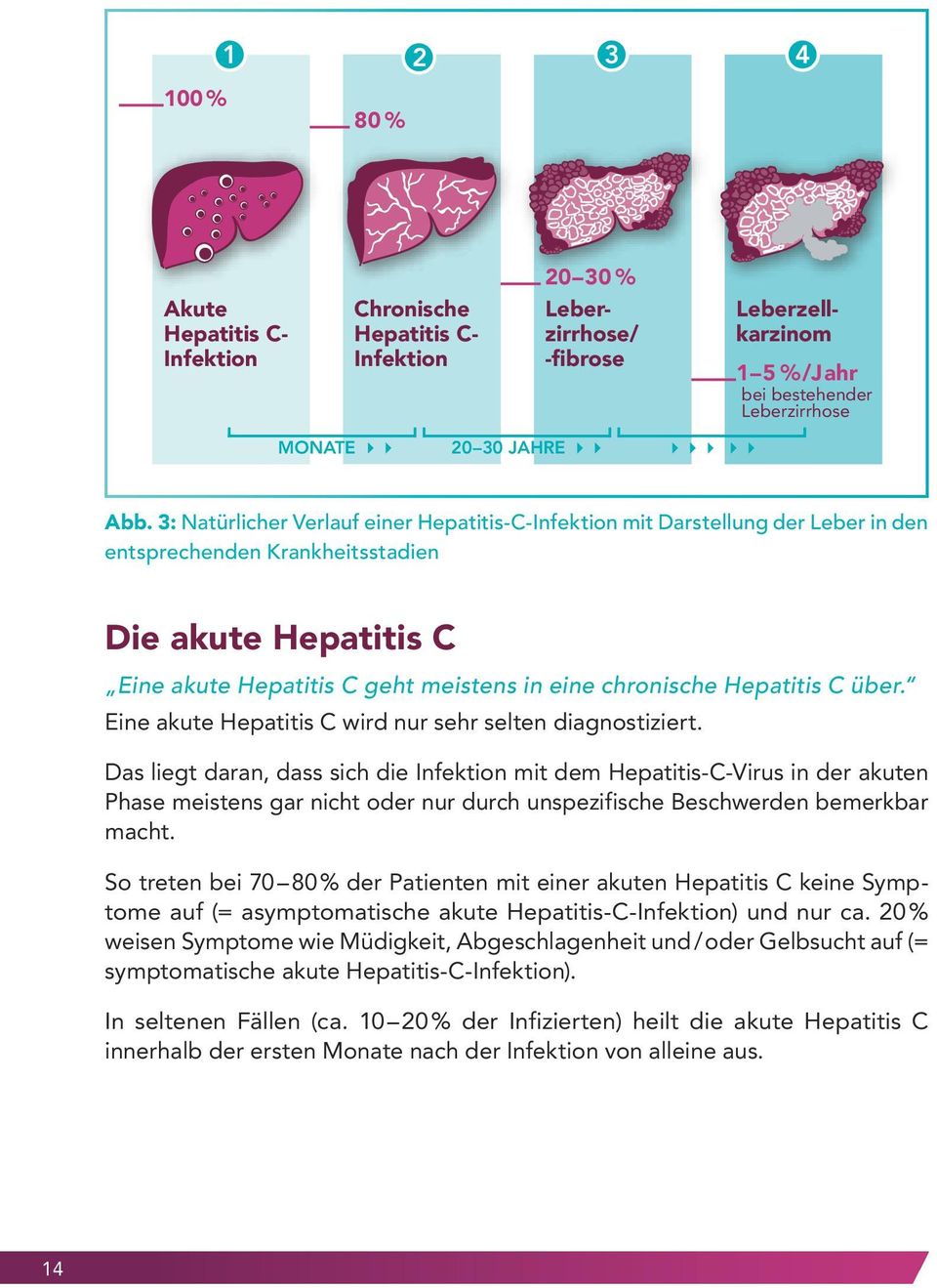 Hepatitis C über. Eine akute Hepatitis C wird nur sehr selten diagnostiziert.