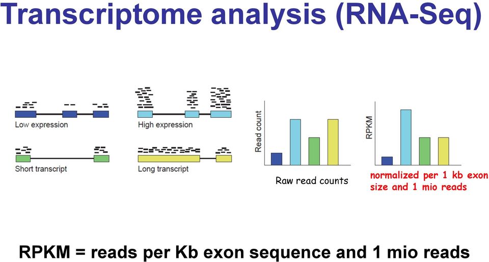 exon size and 1 mio reads RPKM =