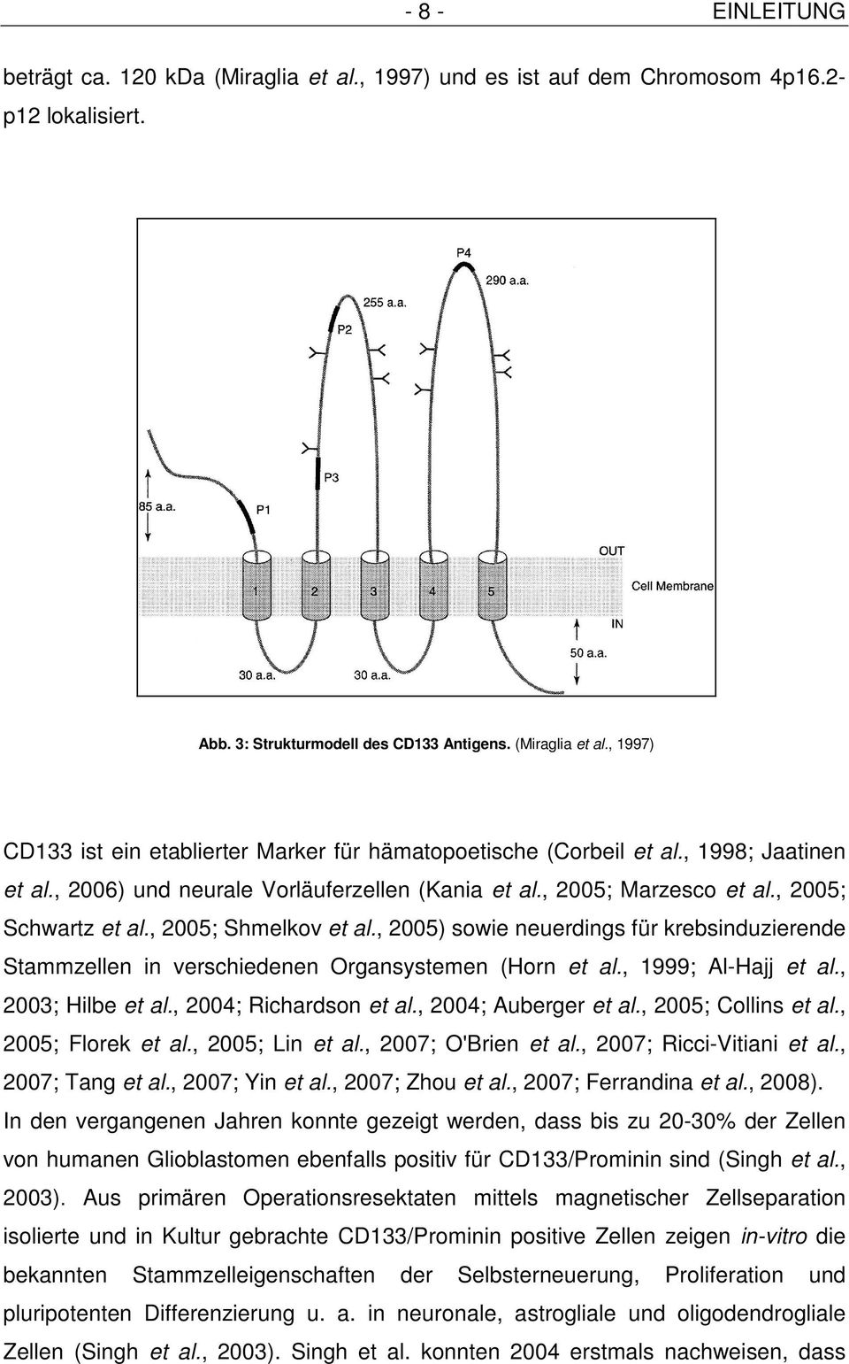, 2005) sowie neuerdings für krebsinduzierende Stammzellen in verschiedenen Organsystemen (Horn et al., 1999; Al-Hajj et al., 2003; Hilbe et al., 2004; Richardson et al., 2004; Auberger et al.