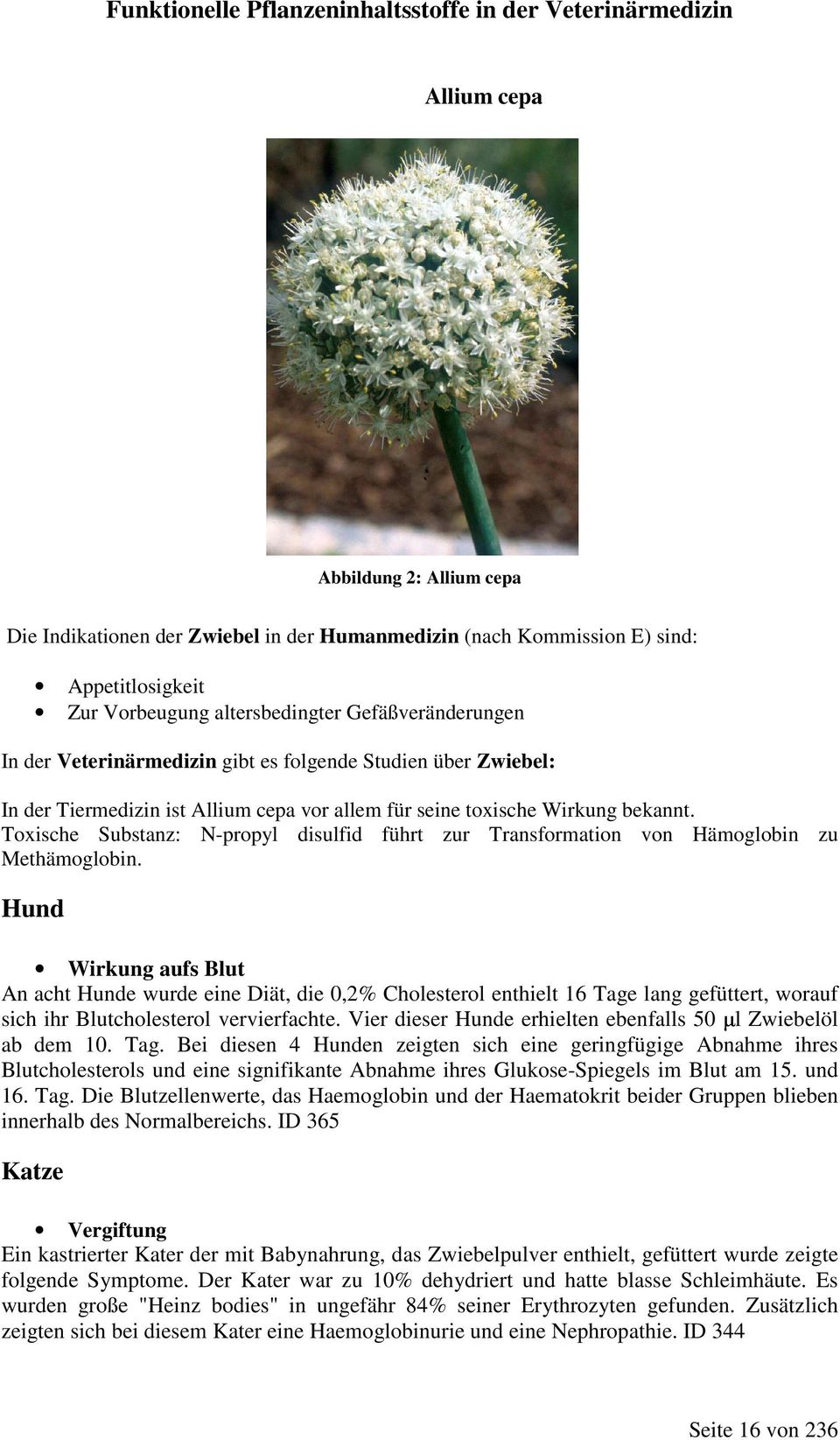 Toxische Substanz: N-propyl disulfid führt zur Transformation von Hämoglobin zu Methämoglobin.