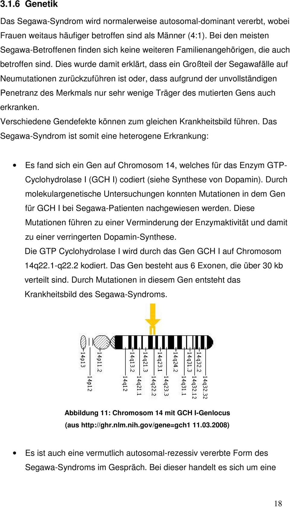 Dies wurde damit erklärt, dass ein Großteil der Segawafälle auf Neumutationen zurückzuführen ist oder, dass aufgrund der unvollständigen Penetranz des Merkmals nur sehr wenige Träger des mutierten