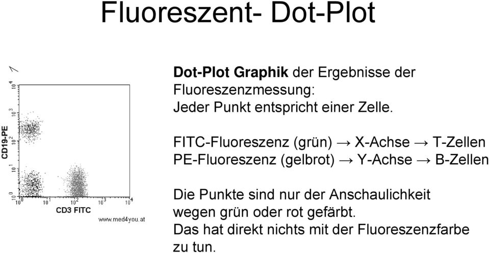 FITC-Fluoreszenz (grün) X-Achse T-Zellen PE-Fluoreszenz (gelbrot) Y-Achse