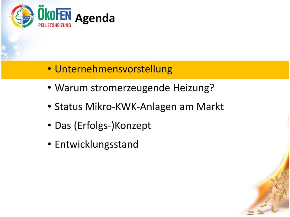 Status Mikro-KWK-Anlagen am Markt