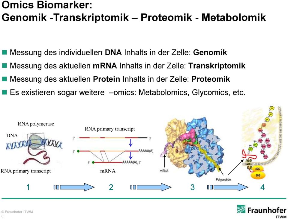 Messung des aktuellen Protein Inhalts in der Zelle: Proteomik Es existieren sogar weitere omics: