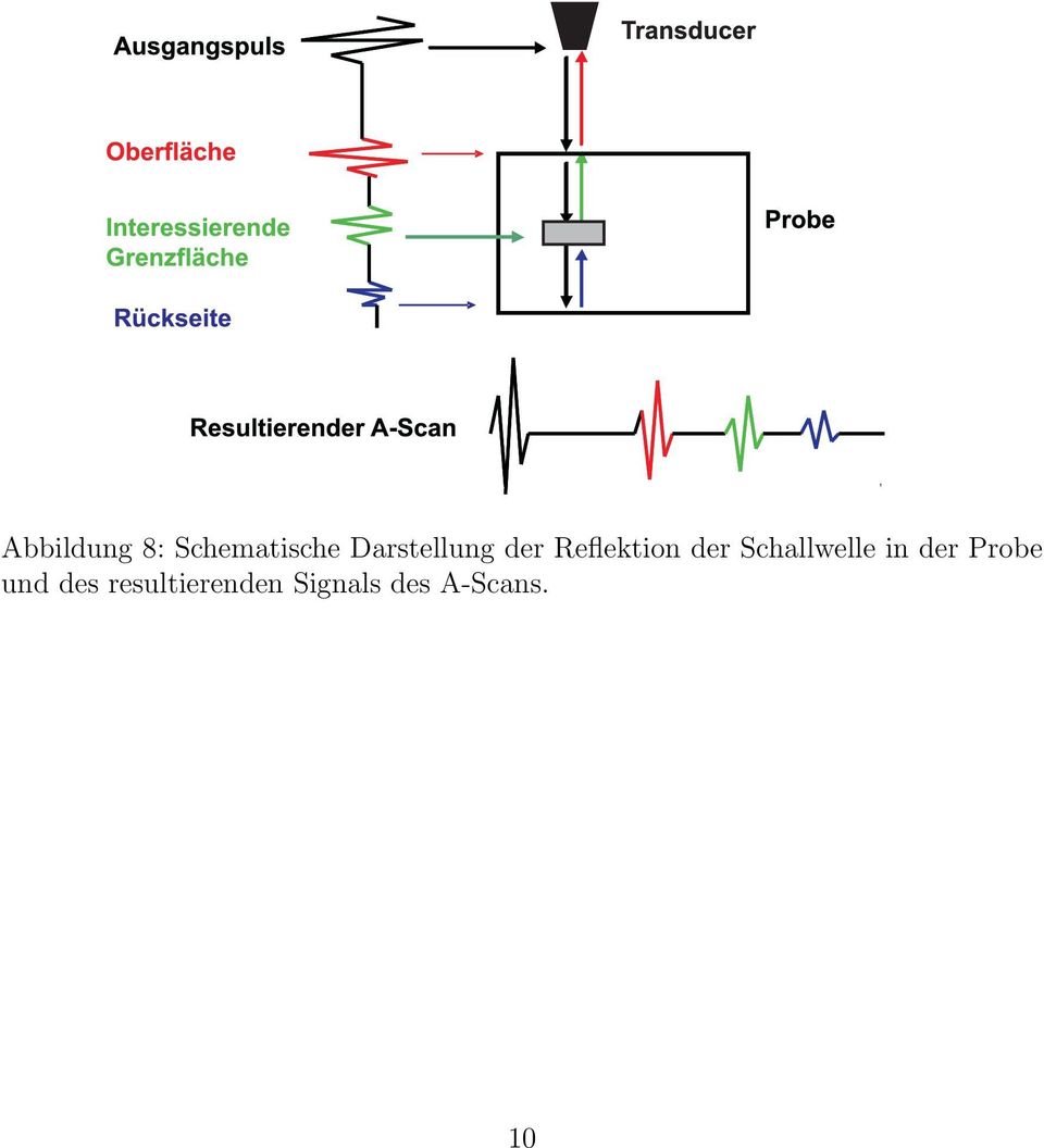 Schallwelle in der Probe und