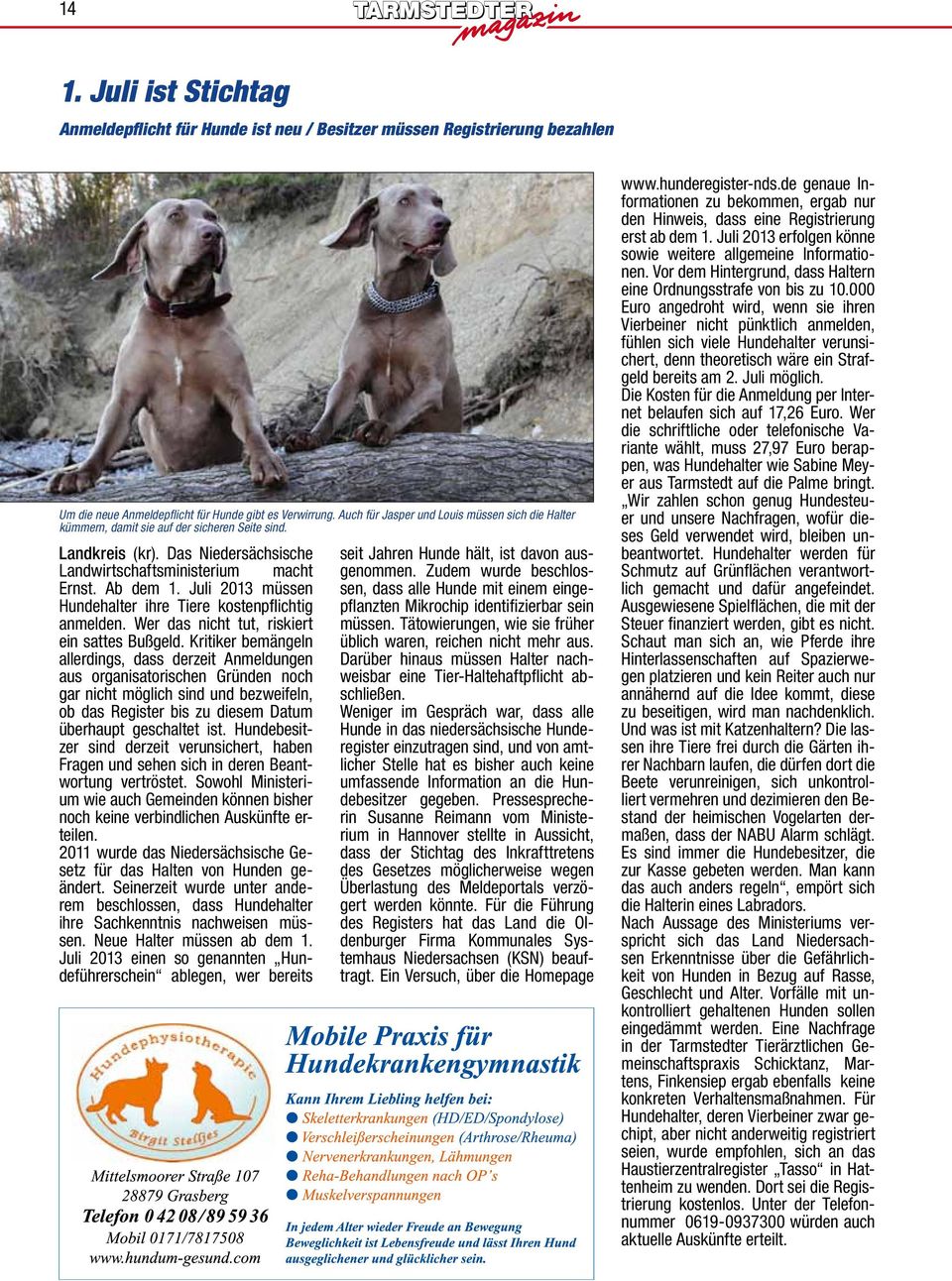 Juli 2013 müssen Hundehalter ihre Tiere kostenpflichtig anmelden. Wer das nicht tut, riskiert ein sattes Bußgeld.