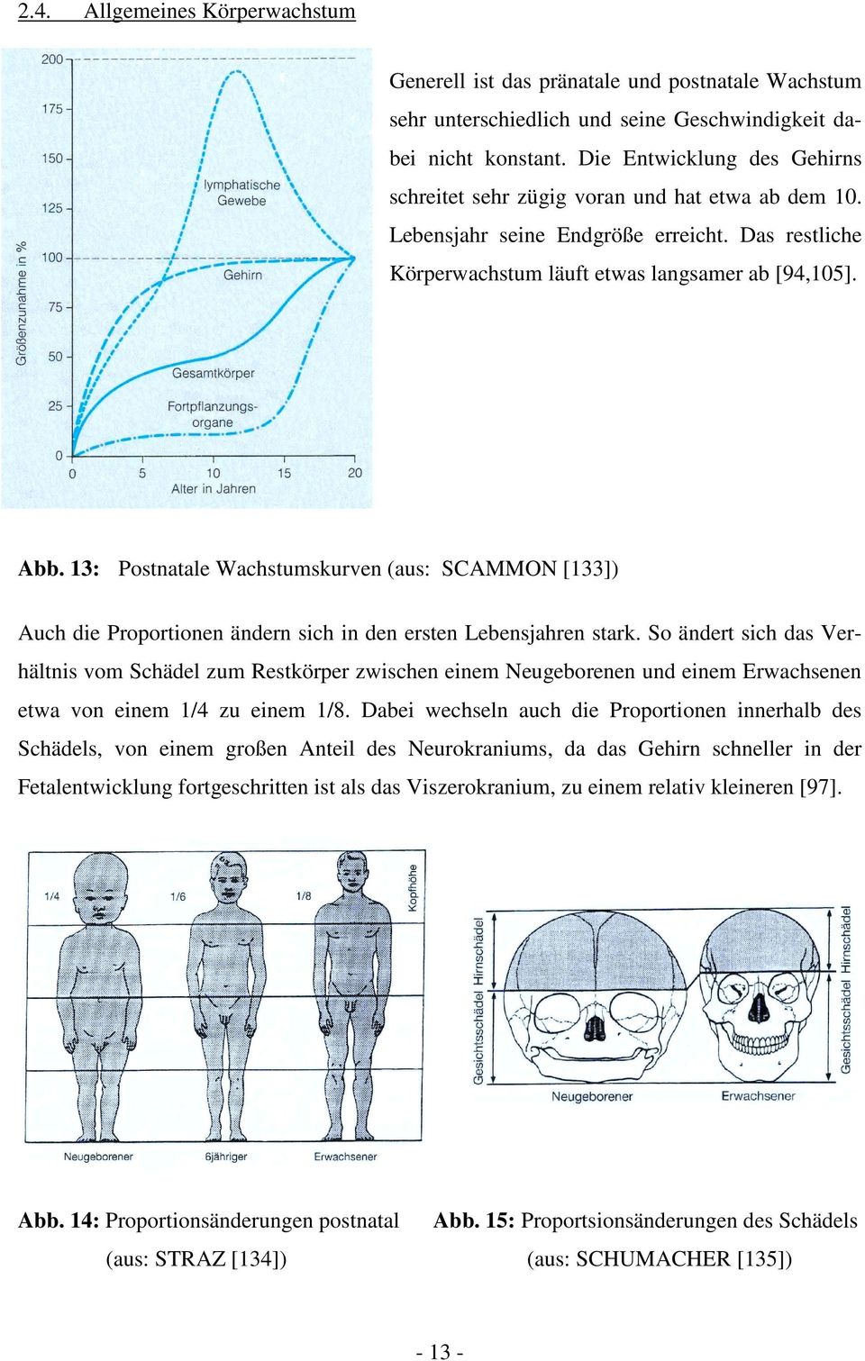 13: Postnatale Wachstumskurven (aus: SCAMMON [133]) Auch die Proportionen ändern sich in den ersten Lebensjahren stark.