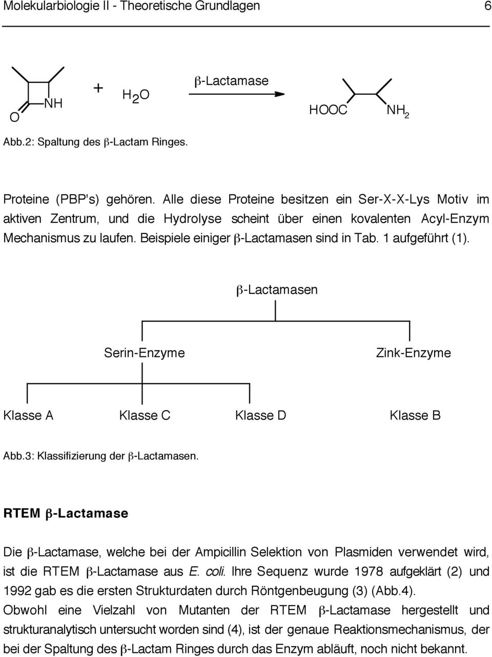 1 aufgeführt (1). β-lactamasen Serin-Enzyme Zink-Enzyme Klasse A Klasse C Klasse D Klasse B Abb.3: Klassifizierung der β-lactamasen.