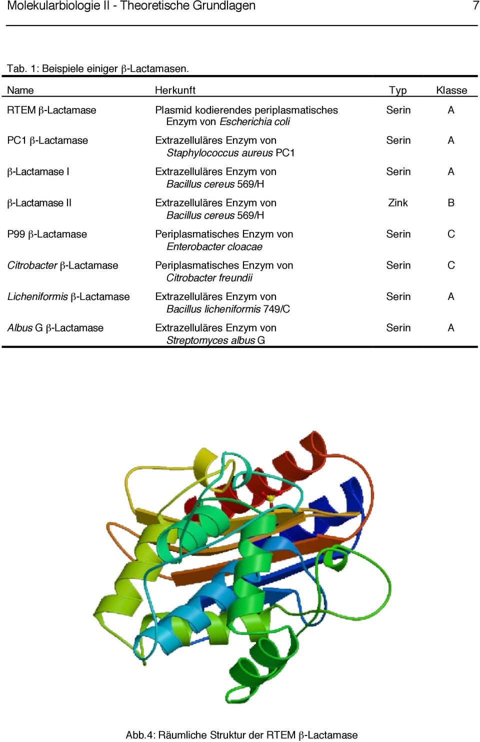 β-lactamase I Extrazelluläres Enzym von Bacillus cereus 569/H Serin A β-lactamase II Extrazelluläres Enzym von Bacillus cereus 569/H Zink B P99 β-lactamase Periplasmatisches Enzym von