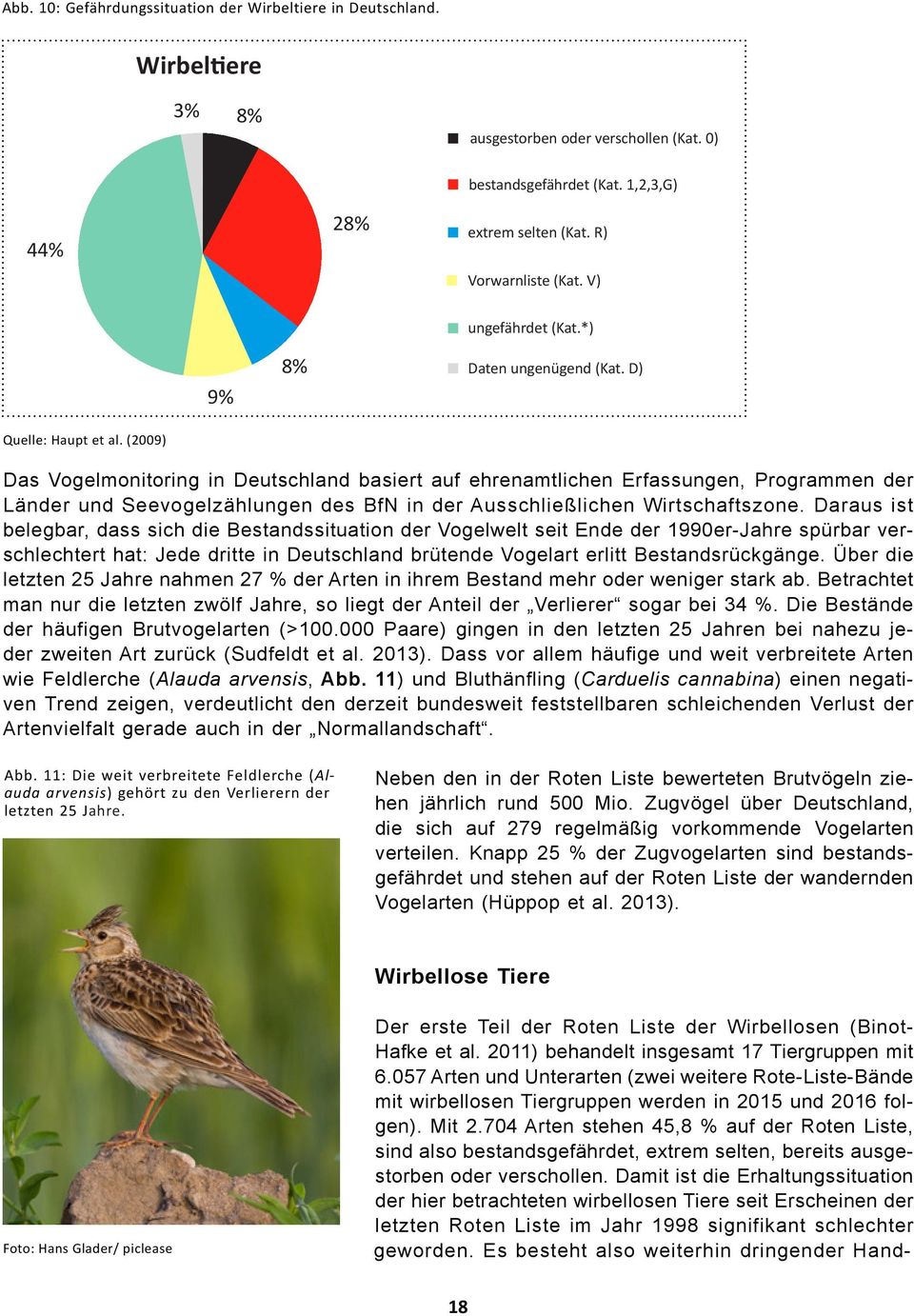(2009) Das Vogelmonitoring in Deutschland basiert auf ehrenamtlichen Erfassungen, Programmen der Länder und Seevogelzählungen des BfN in der Ausschließlichen Wirtschaftszone.