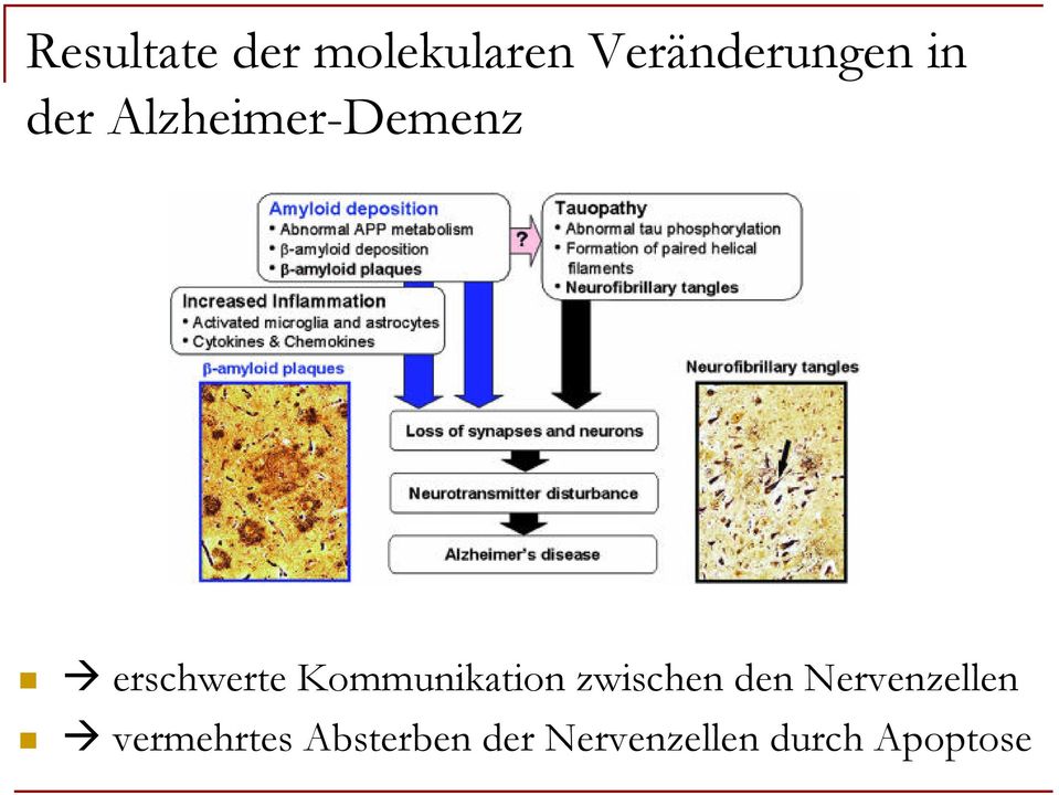 Kommunikation zwischen den Nervenzellen
