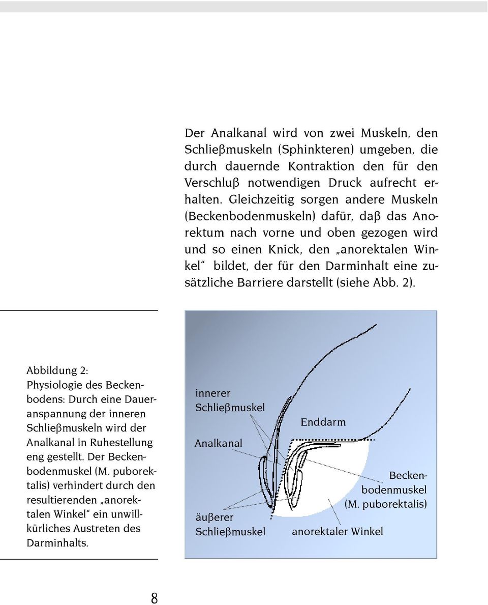 zusätzliche Barriere darstellt (siehe Abb. 2). Abbildung 2: Physiologie des Beckenbodens: Durch eine Daueranspannung der inneren Schließmuskeln wird der Analkanal in Ruhestellung eng gestellt.