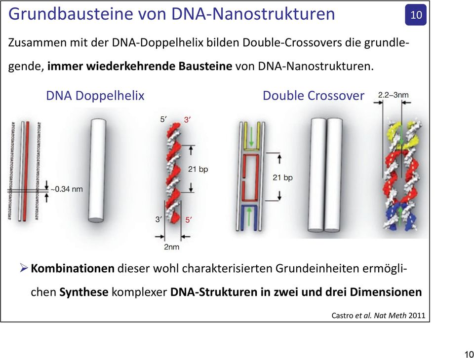 DNA Doppelhelix Double Crossover Kombinationen dieser wohl charakterisierten Grundeinheiten