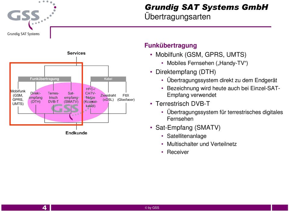 Einzel-SAT- Empfang verwendet Terrestrisch DVB-T Übertragungssystem für terrestrisches
