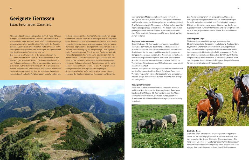 Aber auch für einen Teilaspekt der Agrobiodiversität, der Vielfalt an heimischen Nutztierrassen, nimmt der Alpenraum gegenüber den Gunstlagen im Alpenvorland und den Ebenen eine Sonderstellung ein.