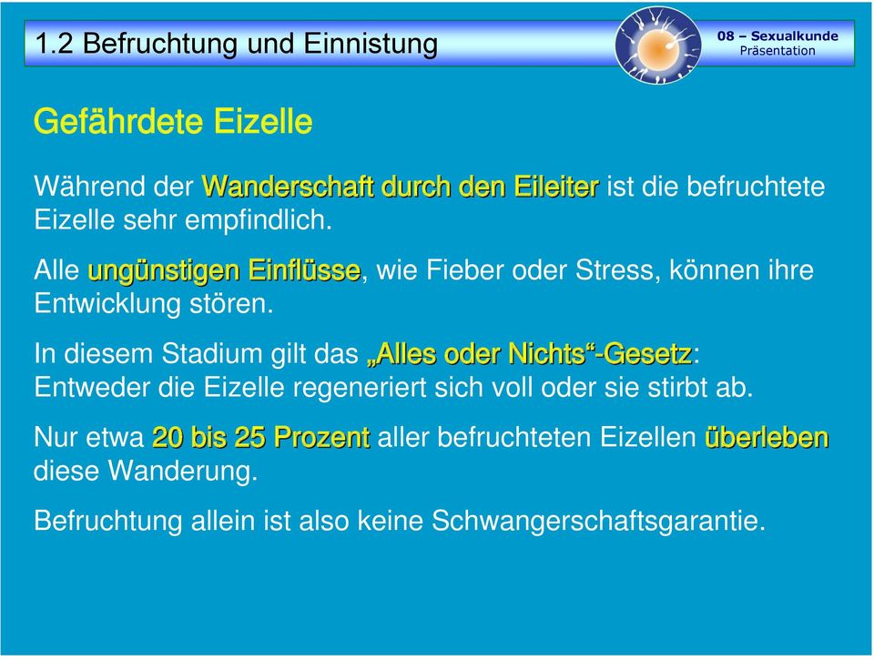 In diesem Stadium gilt das Alles oder Nichts -Gesetz Gesetz: Entweder die Eizelle regeneriert sich voll oder sie stirbt ab.