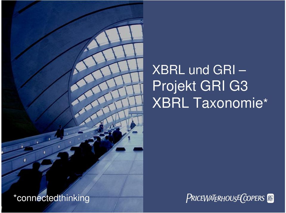 XBRL Taxonomie*