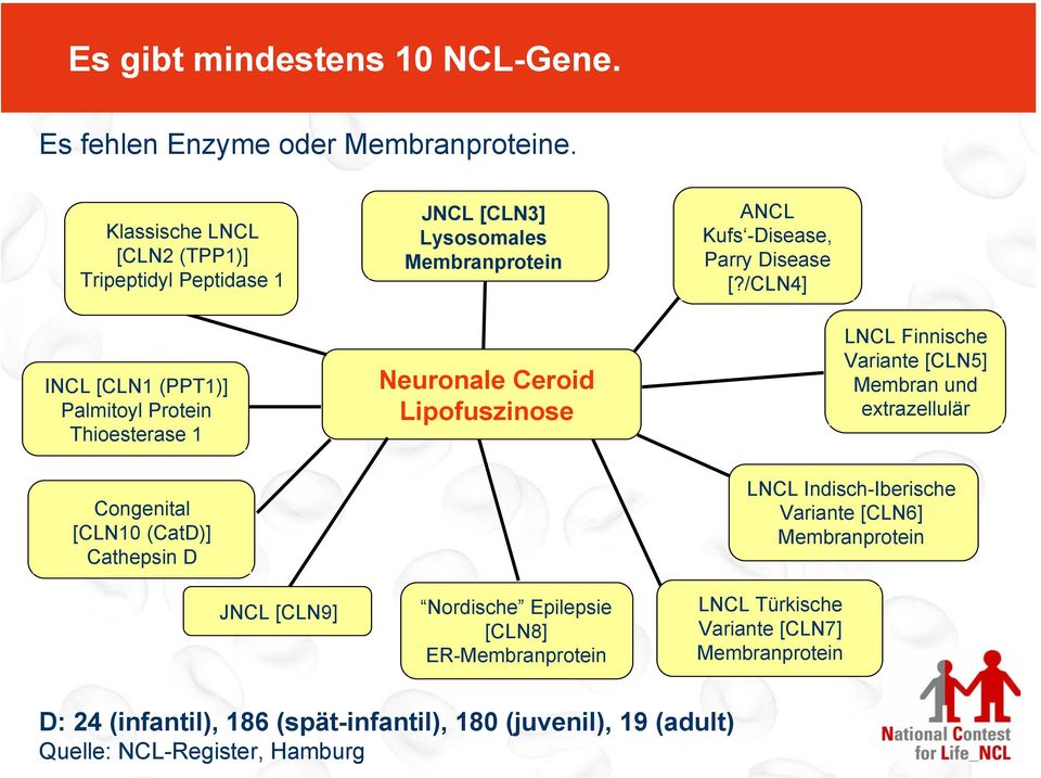 /CLN4] INCL [CLN1 (PPT1)] Palmitoyl Protein Thioesterase 1 Neuronale Ceroid Lipofuszinose LNCL Finnische Variante [CLN5] Membran und extrazellulär Congenital