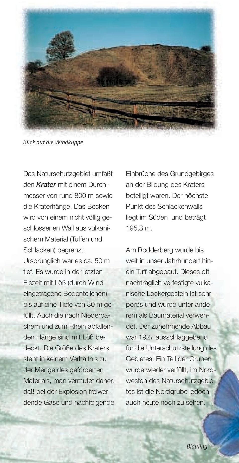 Es wurde in der letzten Eiszeit mit Löß (durch Wind eingetragene Bodenteilchen) bis auf eine Tiefe von 30 m gefüllt. Auch die nach Niederbachem und zum Rhein abfallenden Hänge sind mit Löß bedeckt.