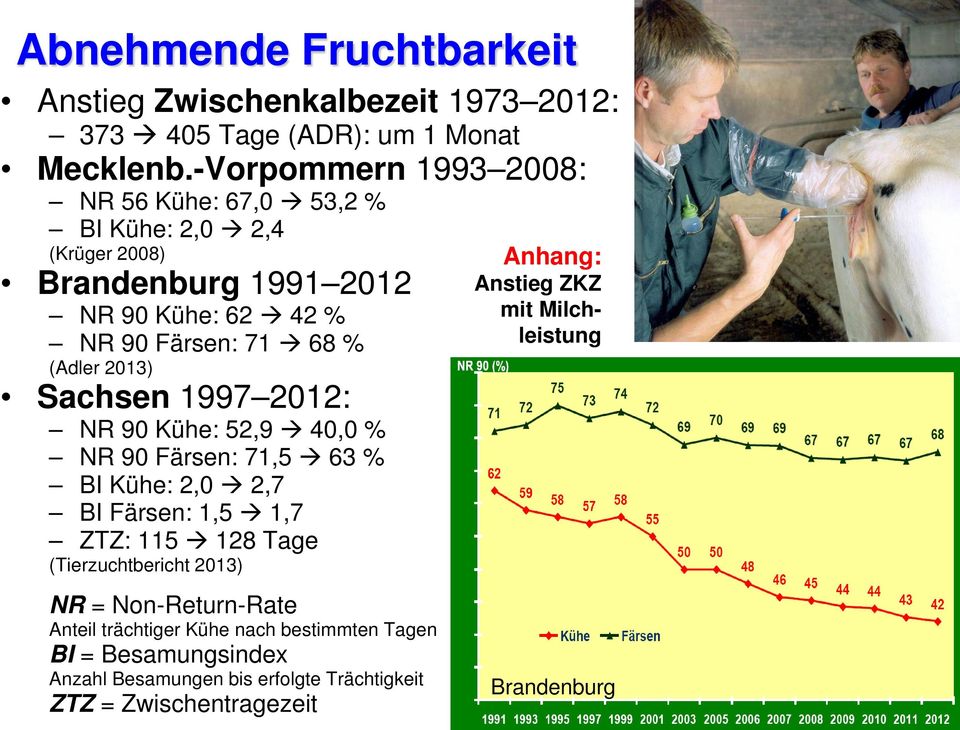 2013) Sachsen 1997 2012: NR 90 Kühe: 52,9 40,0 % NR 90 Färsen: 71,5 63 % BI Kühe: 2,0 2,7 BI Färsen: 1,5 1,7 ZTZ: 115 128 Tage (Tierzuchtbericht 2013)