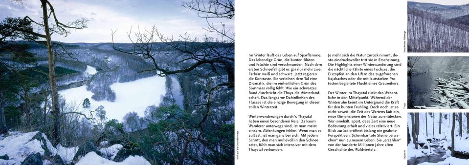 Wie ein schwarzes Band durchzieht die Thaya die Winterlandschaft. Das langsame Dahinfließen des Flusses ist die einzige Bewegung in dieser stillen Winterzeit.