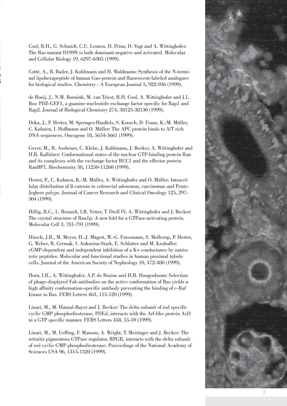 Chemistry - A European Journal 5, 922-936 (1999). de Rooij, J., N.M. Boenink, M. van Triest, R.H. Cool, A. Wittinghofer and J.L.