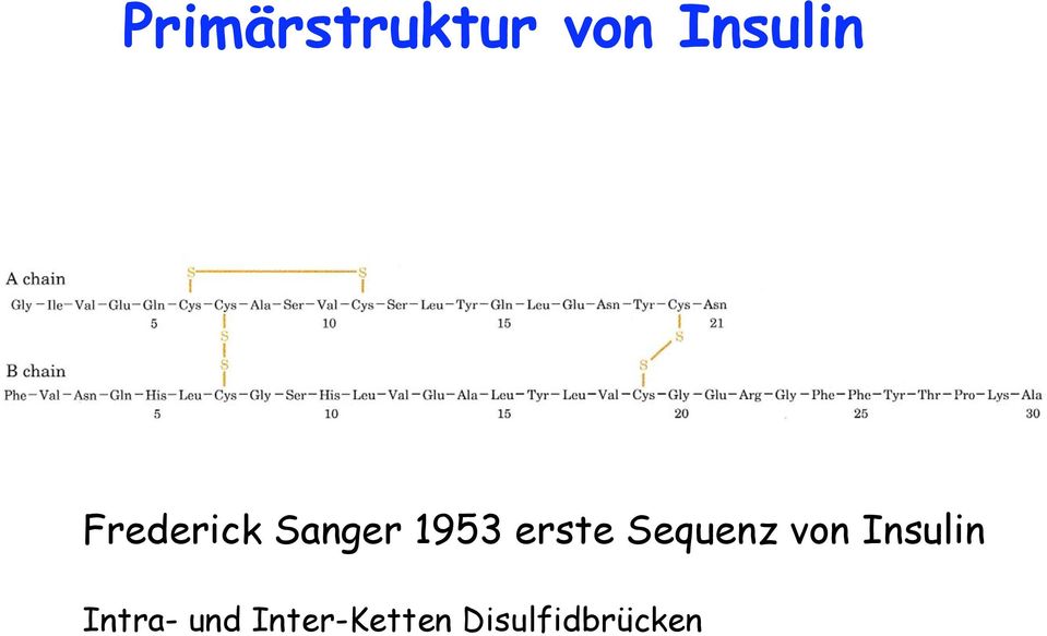 Sequenz von Insulin Intra-