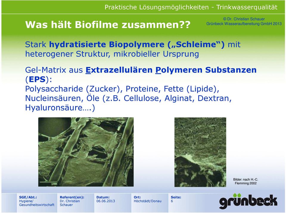 mikrobieller Ursprung Gel-Matrix aus Extrazellulären Polymeren Substanzen (EPS):