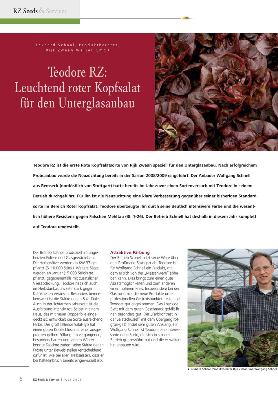Der Anbauer Wolfgang Schnell aus Remseck (nordöstlich von Stuttgart) hatte bereits im Jahr zuvor einen Sortenversuch mit Teodore in seinem Betrieb durchgeführt.