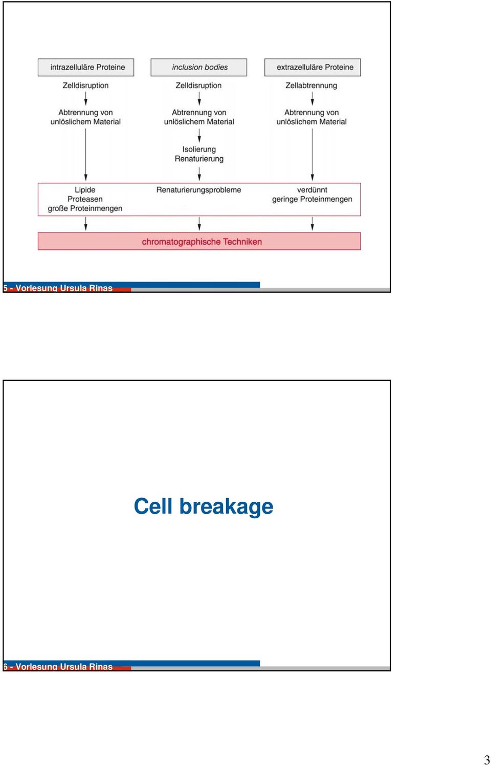 Cell breakage