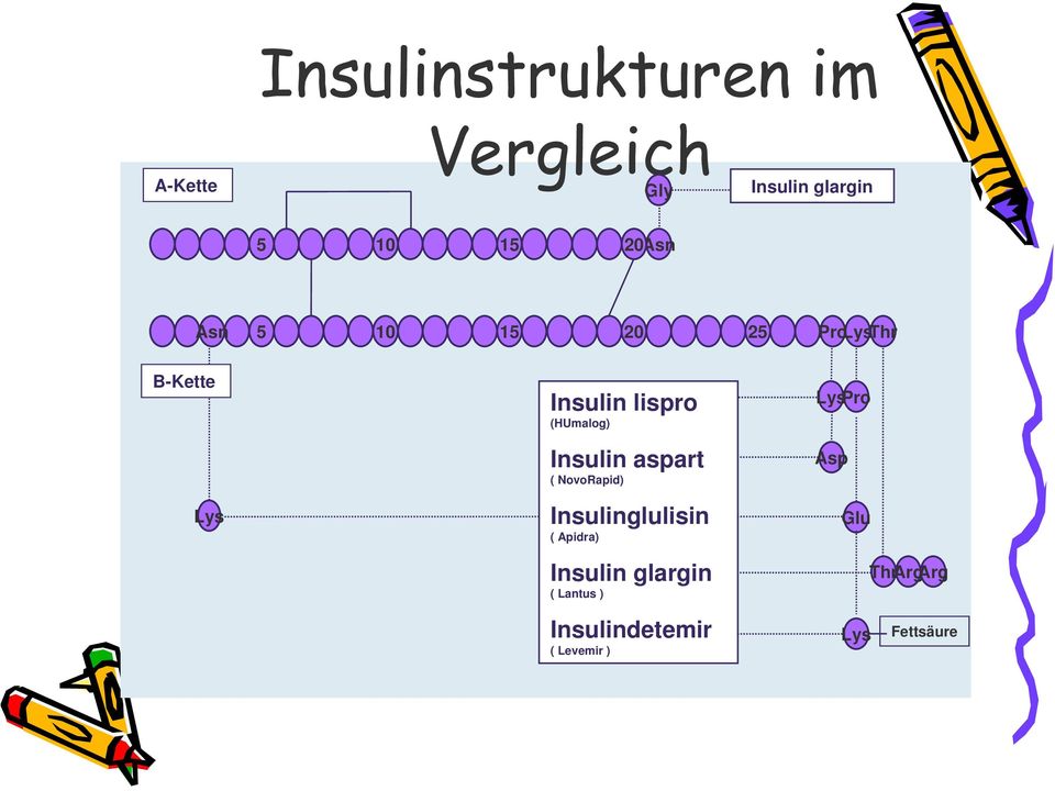 Insulin aspart ( NovoRapid) Insulinglulisin ( Apidra) Insulin glargin