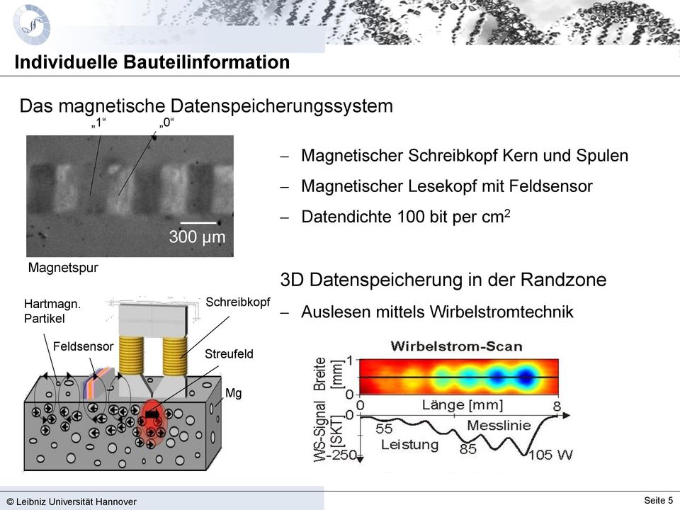 Partikel Feldsensor 300 µm Schreibkopf Streufeld Datendichte 100 bit per cm 2 3D