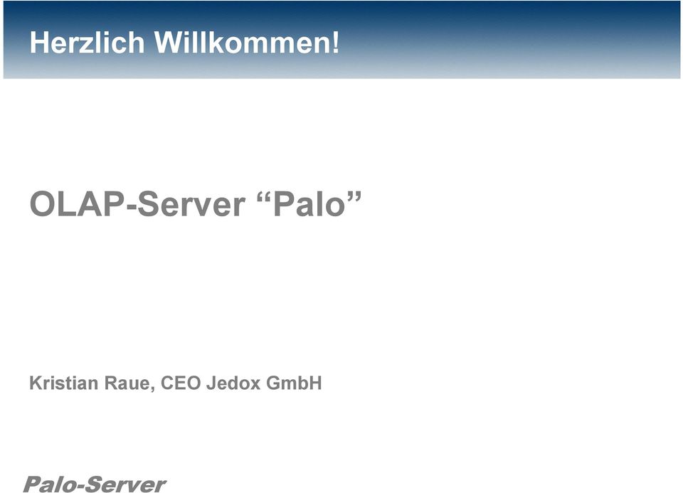 OLAP-Server Palo