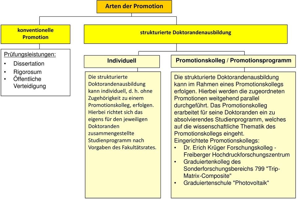 Hierbei richtet sich das eigens für den jeweiligen Doktoranden zusammengestellte Studienprogramm nach Vorgaben des Fakultätsrates.