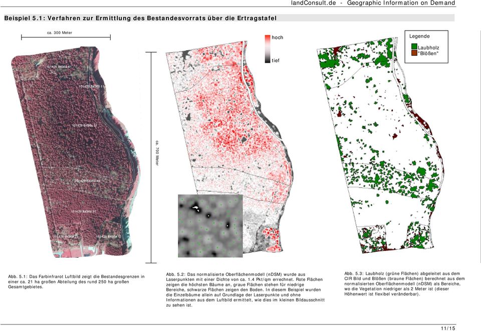 Rote Flächen zeigen die höchsten Bäume an, graue Flächen stehen für niedrige Bereiche, schwarze Flächen zeigen den Boden.