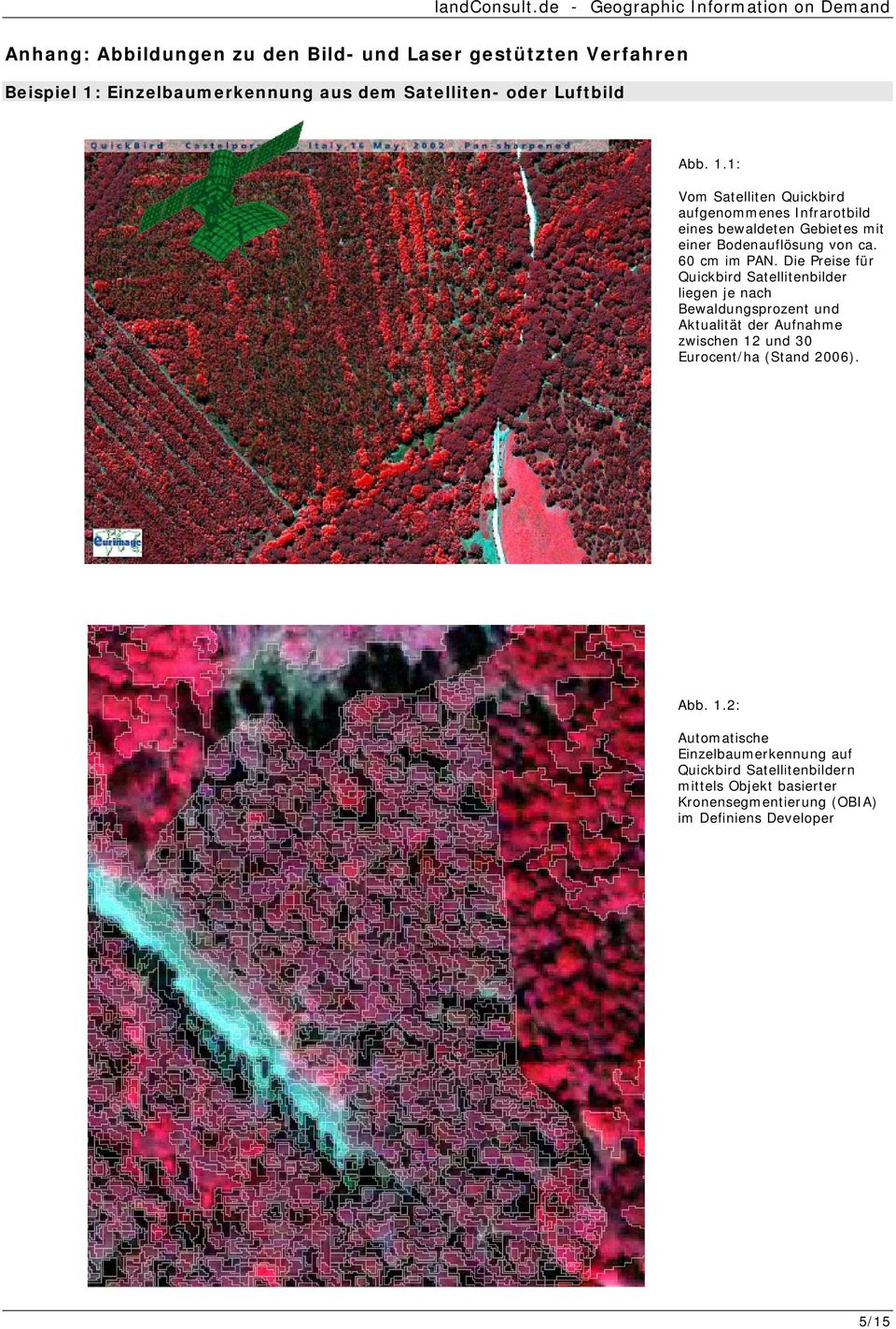 1: Vom Satelliten Quickbird aufgenommenes Infrarotbild eines bewaldeten Gebietes mit einer Bodenauflösung von ca. 60 cm im PAN.
