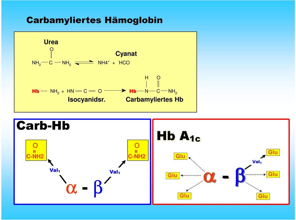 Hb N C NH 2 Isocyanidsr.