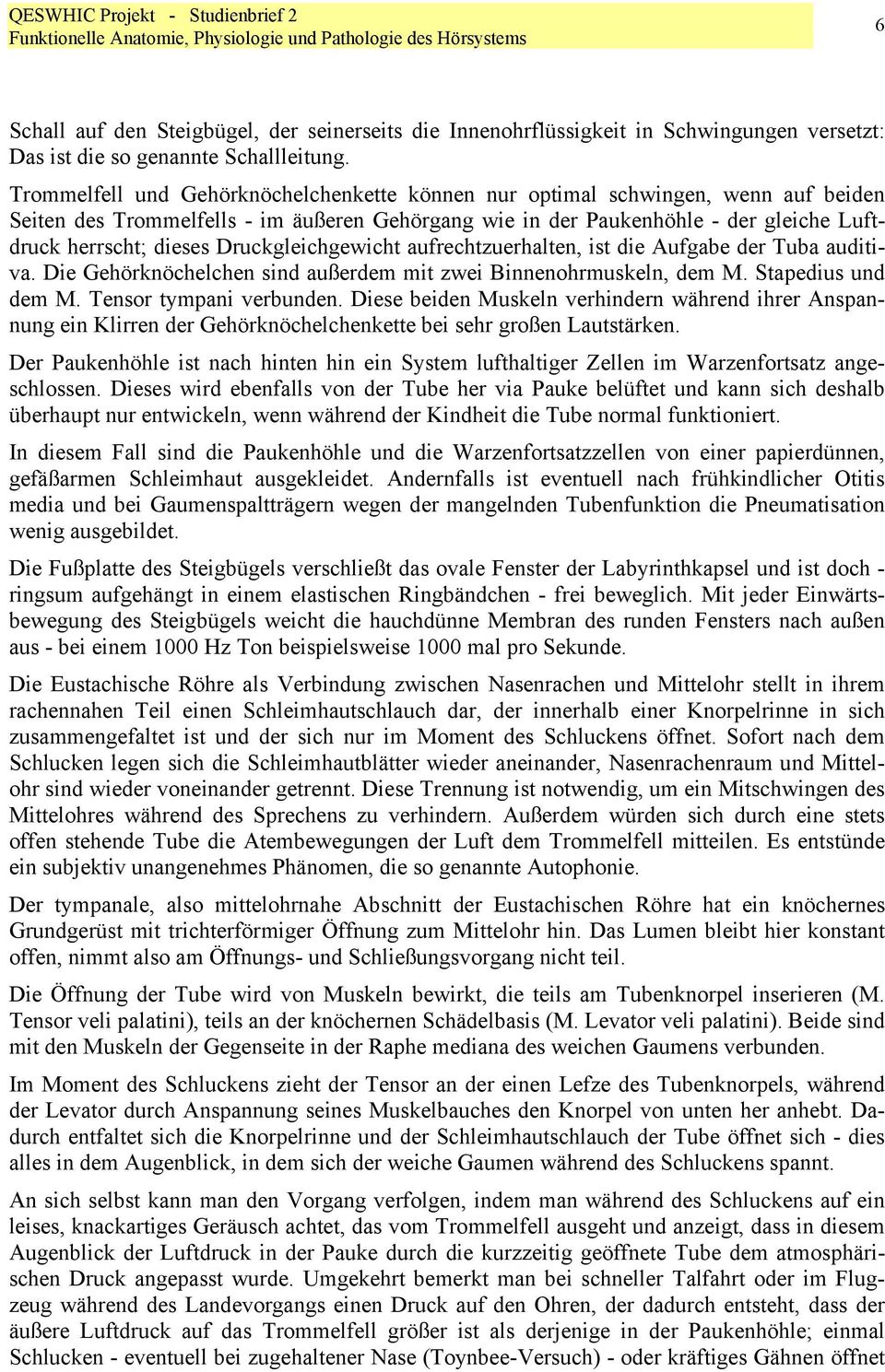 Druckgleichgewicht aufrechtzuerhalten, ist die Aufgabe der Tuba auditiva. Die Gehörknöchelchen sind außerdem mit zwei Binnenohrmuskeln, dem M. Stapedius und dem M. Tensor tympani verbunden.