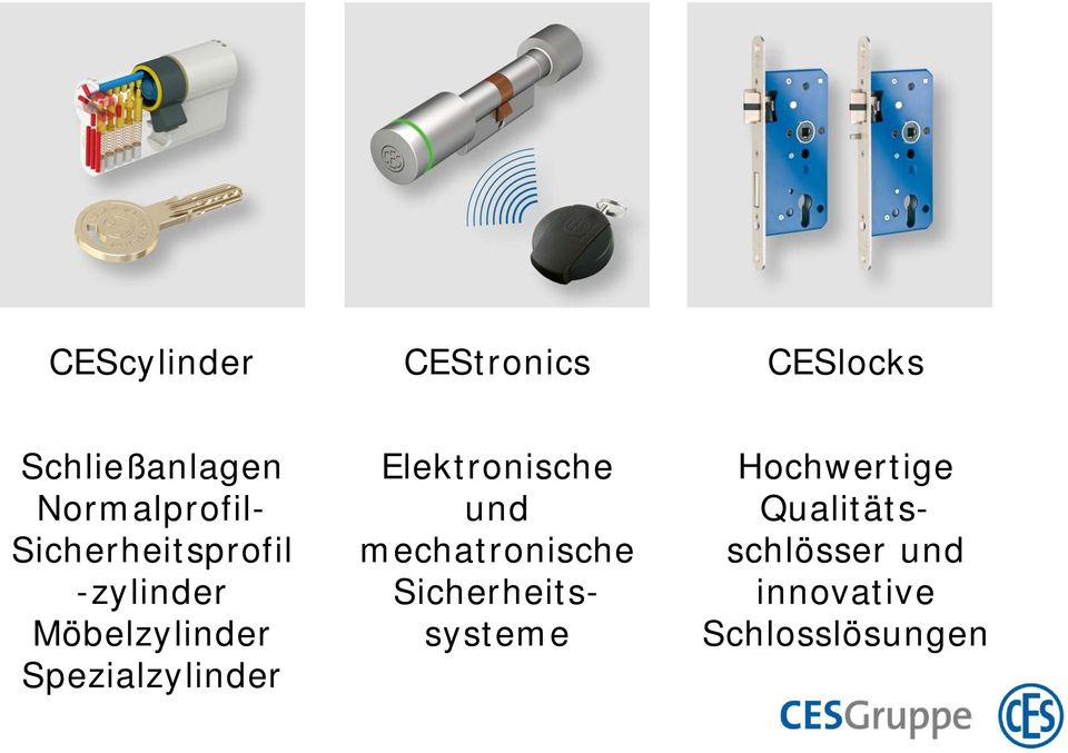 Spezialzylinder Elektronische und mechatronische