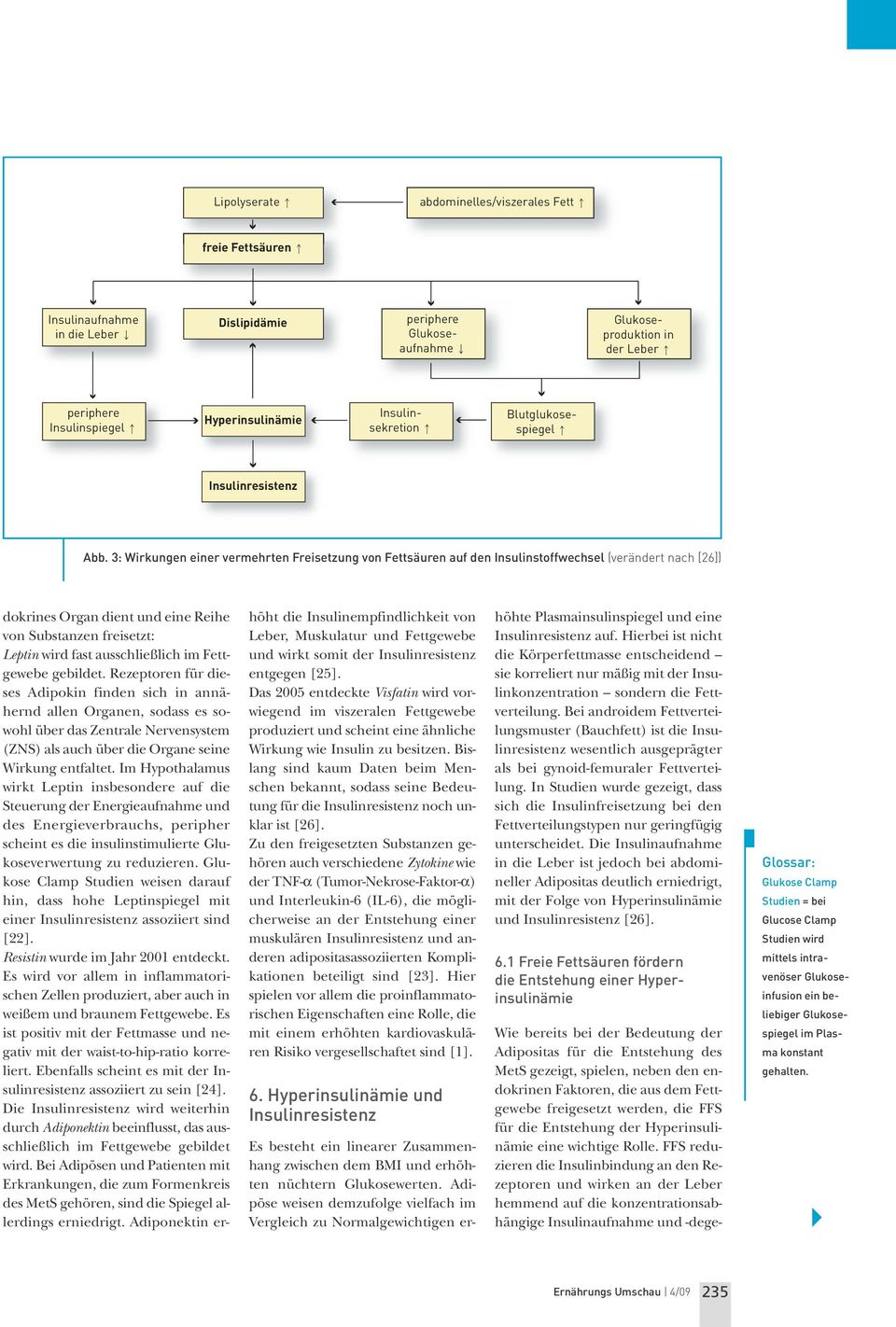 3: Wirkungen einer vermehrten Freisetzung von Fettsäuren auf den Insulinstoffwechsel (verändert nach [26]) dokrines Organ dient und eine Reihe von Substanzen freisetzt: Leptin wird fast