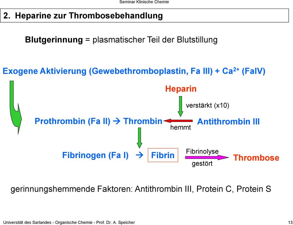 Thrombin hemmt Antithrombin III Fibrinogen (Fa I) Fibrin Fibrinolyse gestört Thrombose gerinnungshemmende