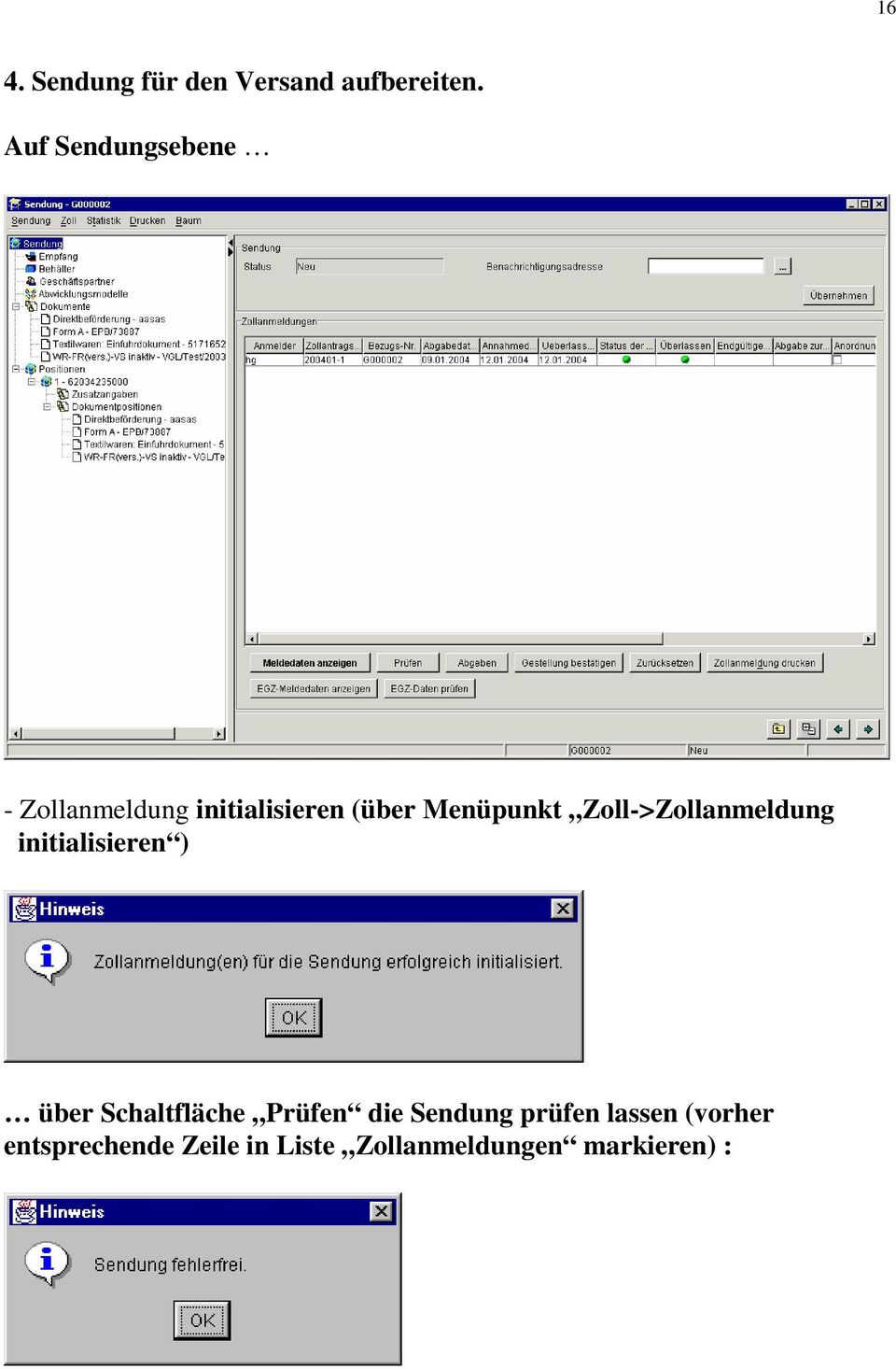 Zoll->Zollanmeldung initialisieren ) über Schaltfläche Prüfen die