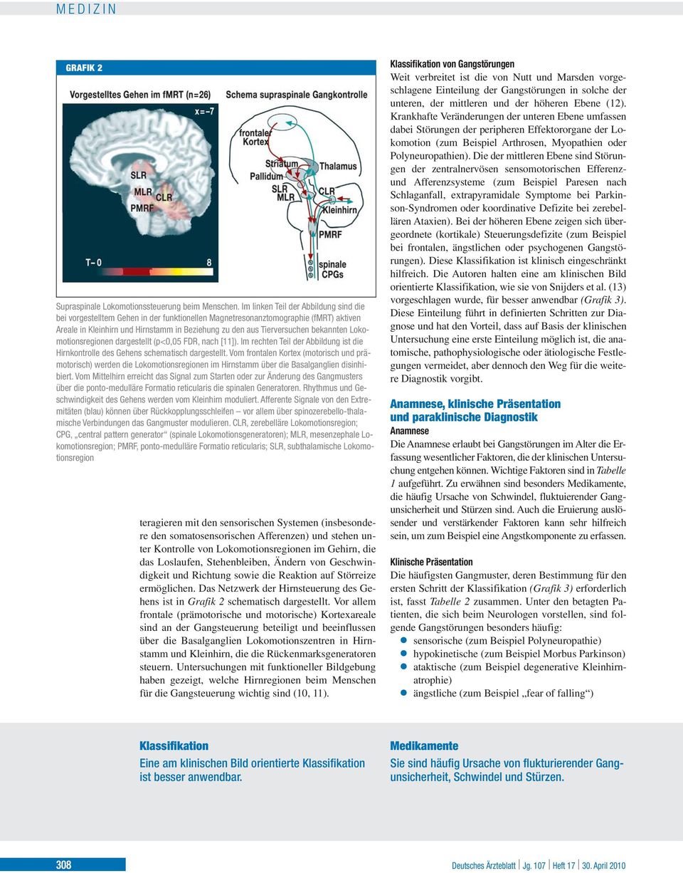 bekannten Lokomotionsregionen dargestellt (p<0,05 FDR, nach [11]). Im rechten Teil der Abbildung ist die Hirnkontrolle des Gehens schematisch dargestellt.