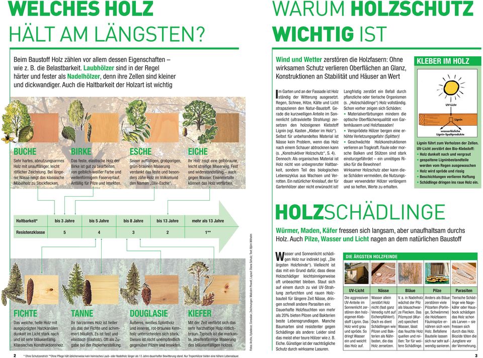 Auch die Haltbarkeit der Holzart ist wichtig BUCHE Sehr hartes, abnutzungsarmes Holz mit unauffälliger, leicht rötlicher Zeichnung. Bei längerer Nässe neigt das klassische Möbelholz zu Stockfl ecken.