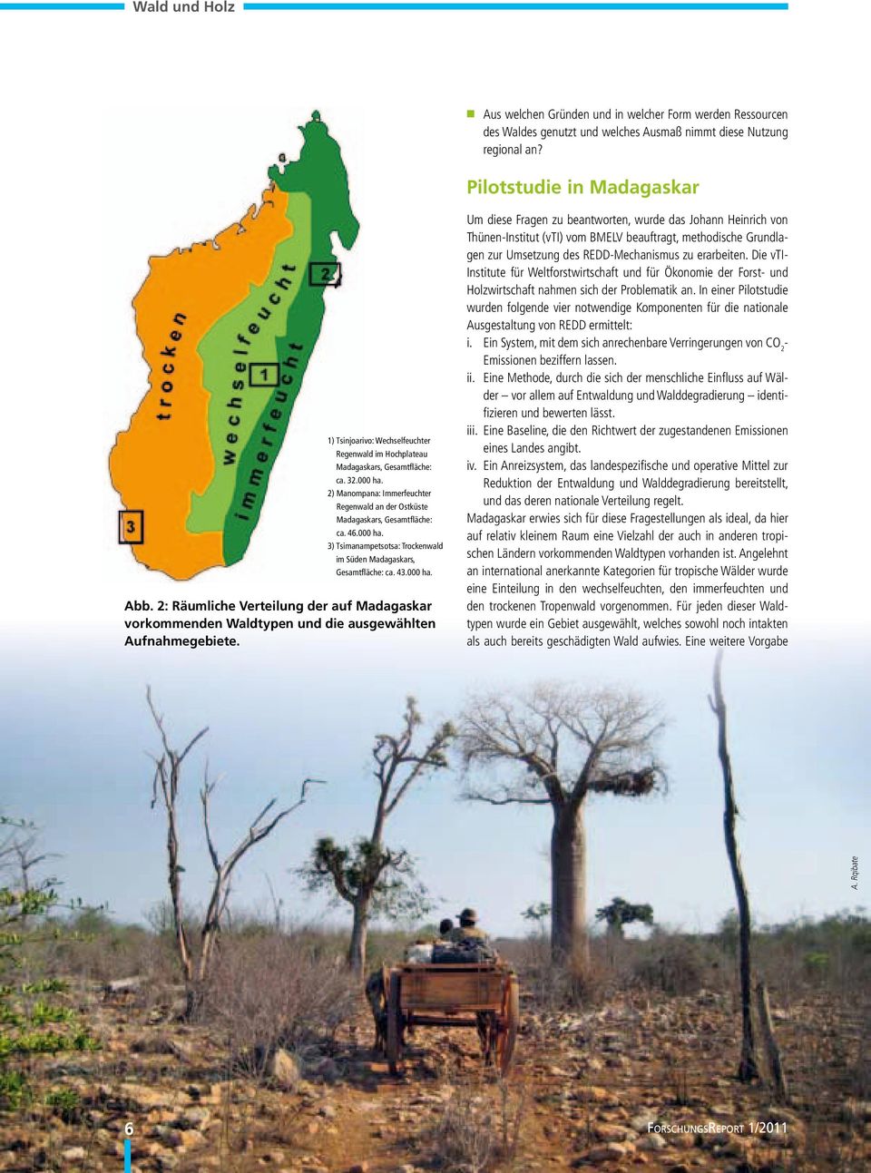 2) Manompana: Immerfeuchter Regenwald an der Ostküste Madagaskars, Gesamtfläche: ca. 46.000 ha. 3) Tsimanampetsotsa: Trockenwald im Süden Madagaskars, Gesamtfläche: ca. 43.000 ha. A. Rqibate Abb.