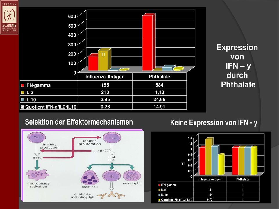 Selektion der Effektormechanismen Keine Expression von IFN - y 1,4 1,2 1 0,8 0,6 TI 0,4 0,2