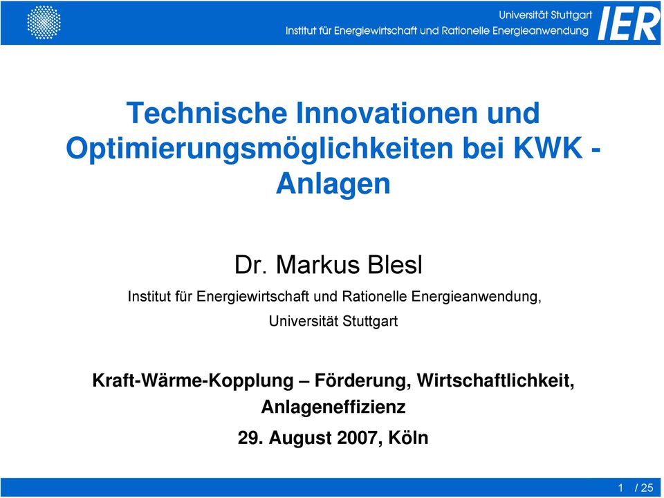 Markus Blesl Institut für Energiewirtschaft und Rationelle
