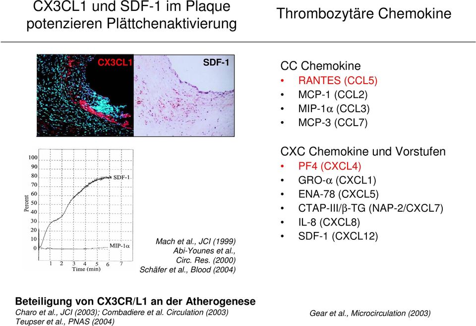 , Blood (2004) CXC Chemokine und Vorstufen PF4 (CXCL4) GRO-α (CXCL1) ENA-78 (CXCL5) CTAP-III/β-TG (NAP-2/CXCL7) IL-8 (CXCL8) SDF-1 (CXCL12)