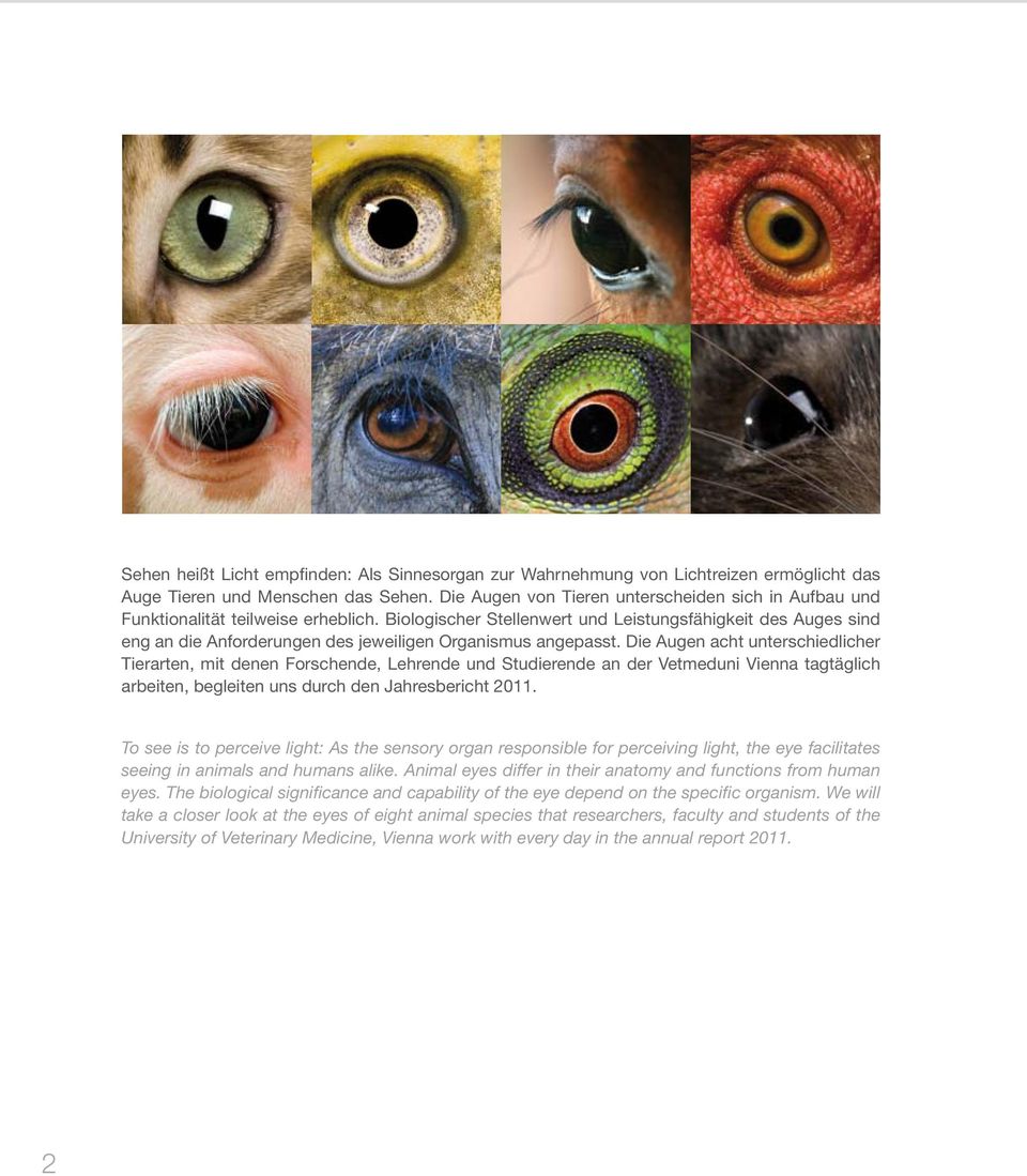 Biologischer Stellenwert und Leistungsfähigkeit des Auges sind eng an die Anforderungen des jeweiligen Organismus angepasst.