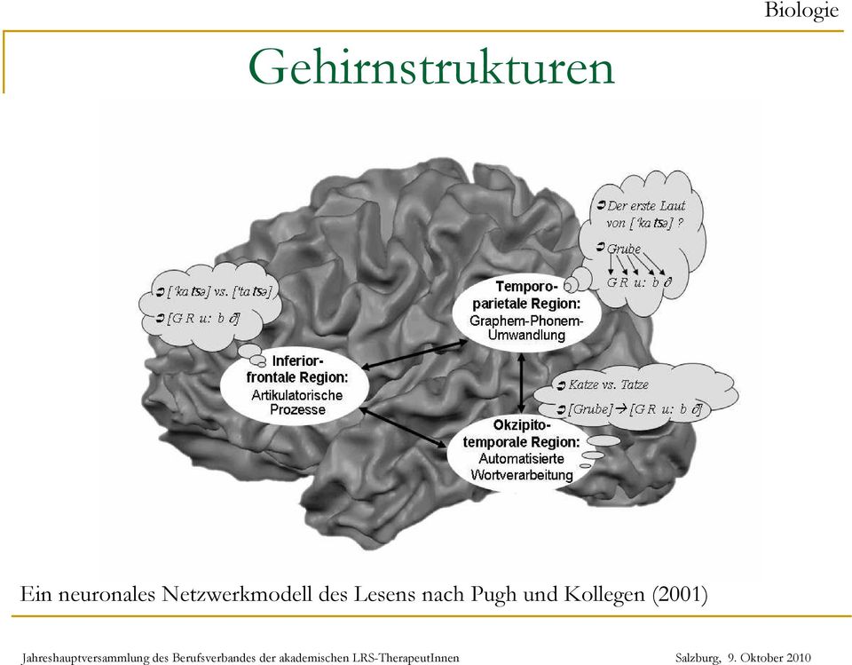 neuronales